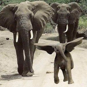 Meet your Posher, Jaileen